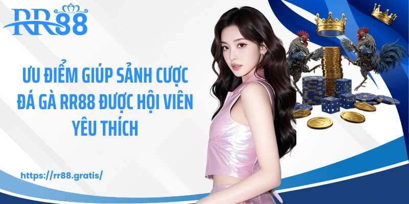 Ưu điểm giúp sảnh cược đá gà RR88 được hội viên yêu thích